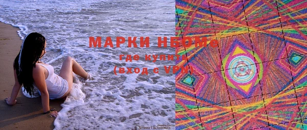 гашик Нефтекумск