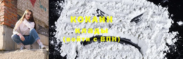 PSILOCYBIN Навашино
