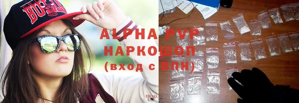 гашик Нефтекумск