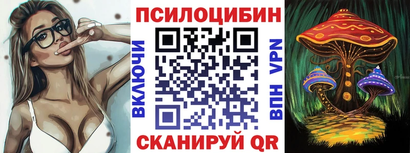 Купить закладки  Костерёво  Псилоцибиновые грибы мицелий 