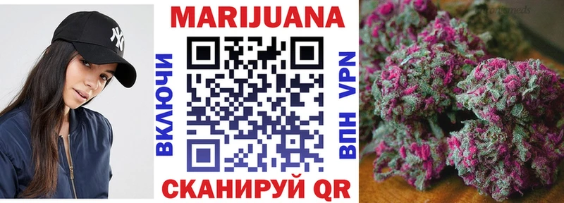 Купить  Костерёво  Канабис сатива 